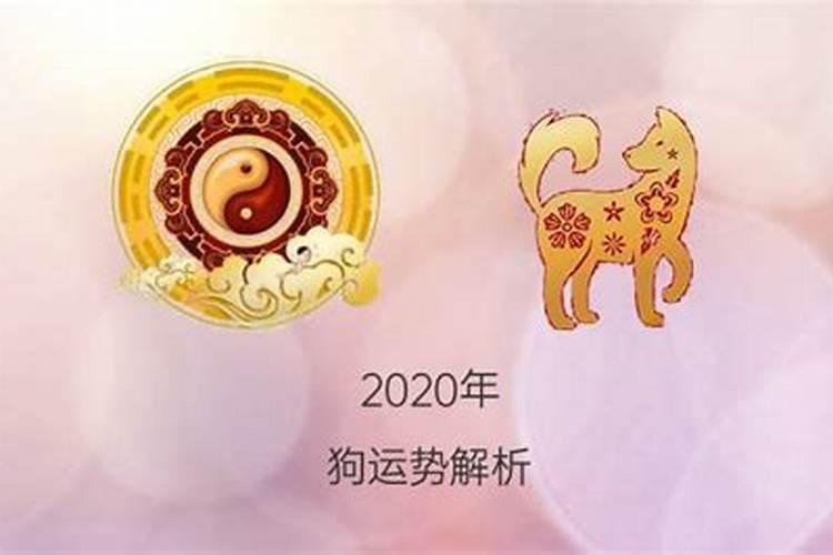 59年属狗2020年运势及运程