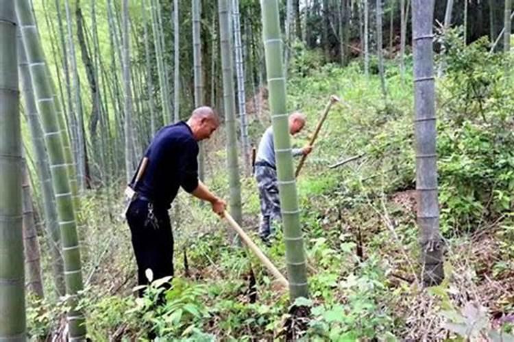 民间说的替身是真的吗知乎