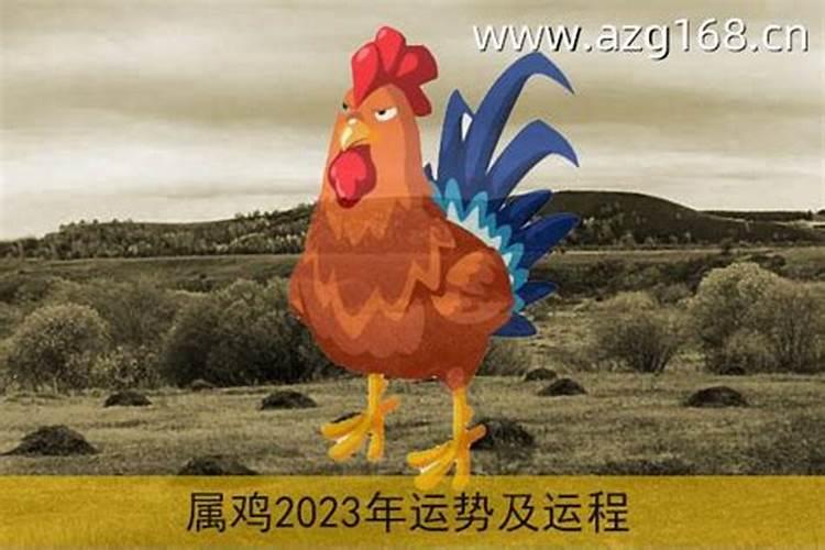 93年属鸡在2023年的运势