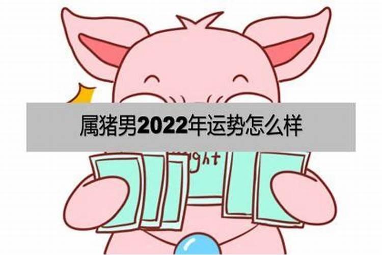 猪男2021运势如何