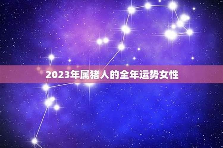 2023属猪男全年运势1995