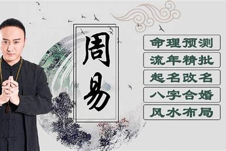 怀孕梦到两只小狗崽