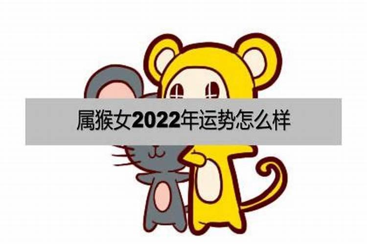 属猴人女人2023年运程怎么样呢