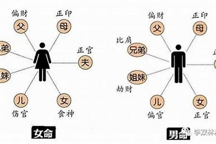 梦见别人向我波水