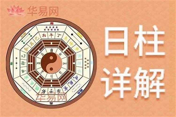 梦见板栗树预示将来会发生什么灾难