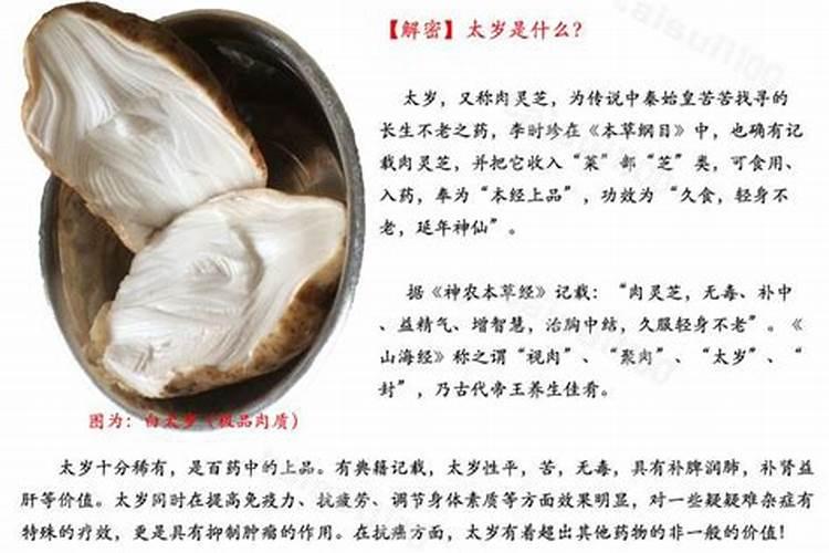 属蛇的带什么好一点保平安的辟邪物品呢