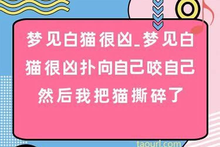 梦见骑自行车载人轻松上陡坡了好不好呀