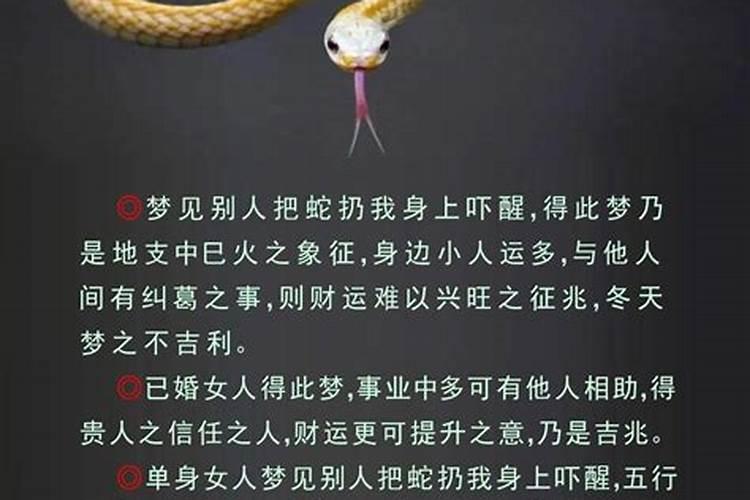 姑娘梦见蛇是什么预兆解梦