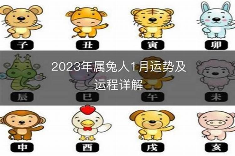 属兔2023年9月份运程如何