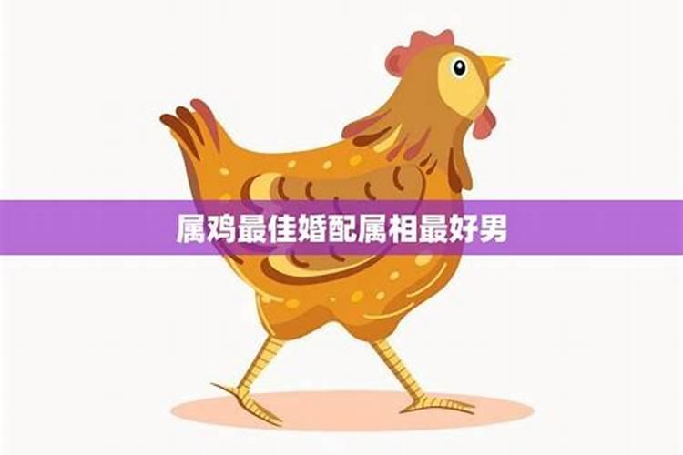 梦见前婆婆是什么意思周公解梦