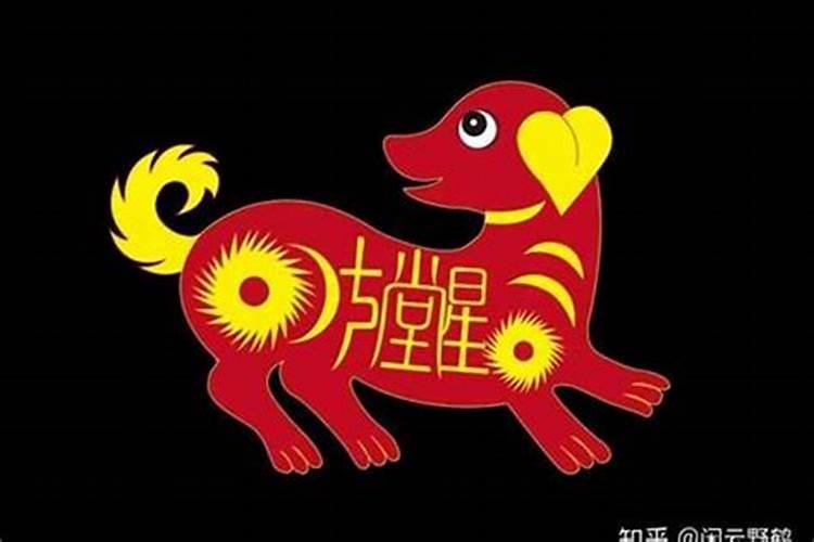 属兔在2021年运势怎么样