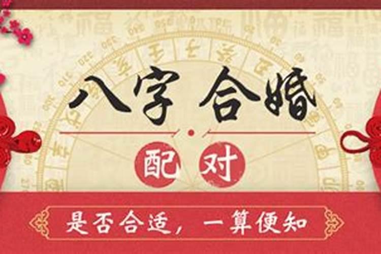 八字时辰不合什么意思呀