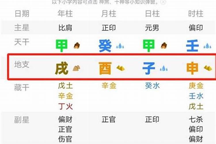 八字各个地支的含义大全