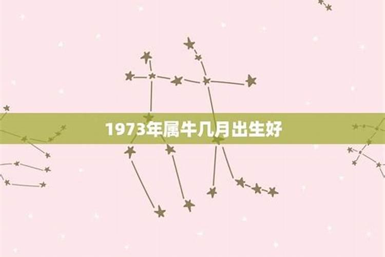 73年牛农历十月的今年的运势