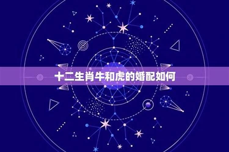 女性做梦梦见蛇是怀孕了吗什么意思