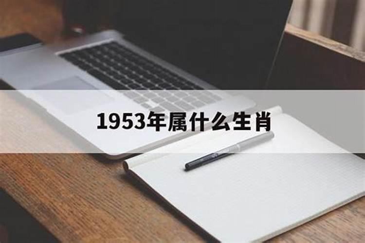 53年出生的属什么生肖