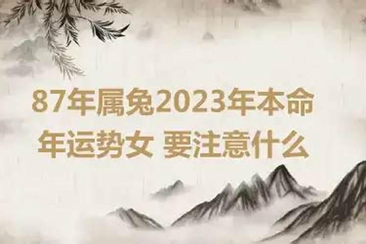 2023年属兔阴历11月运程如何