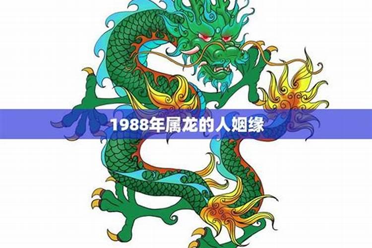 1988年属龙人姻缘运势如何