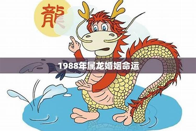 1988年属龙的命运婚姻