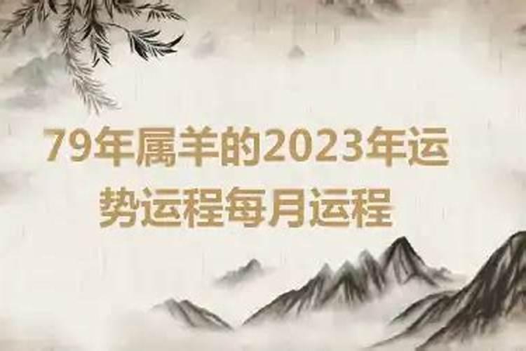 属羊的人2023年的运势及运程每月