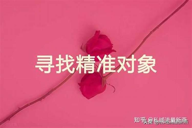 女人梦到蜈蚣什么征兆周公解梦梦见蛇咬自己