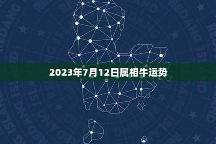 牛12月份运势