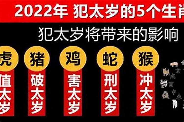 2022年属相犯太岁注意事项