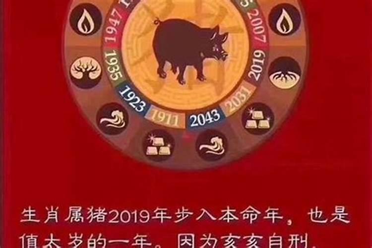 2019年犯太岁什么时候结束