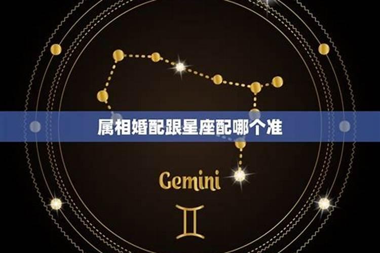 属相婚配与星座可信吗