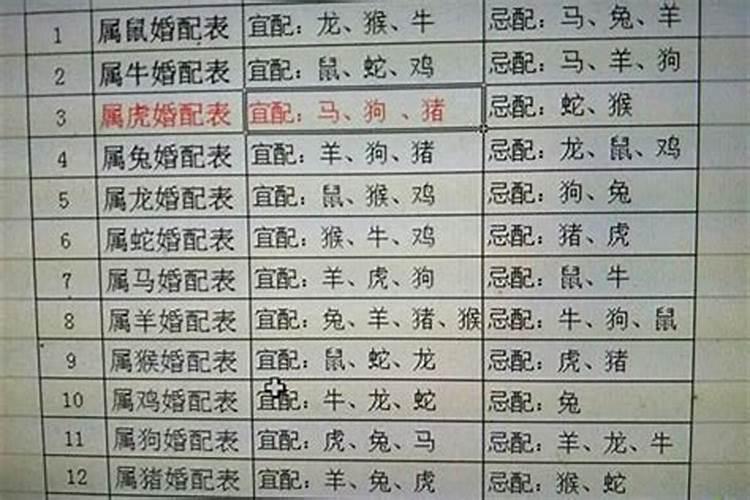 属龙的人过世什么生肖不能出席葬礼