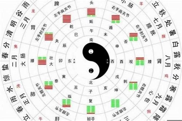 属兔人哪些年是犯太岁的年份