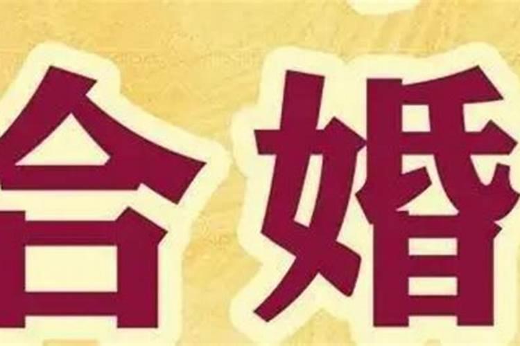 合婚是啥