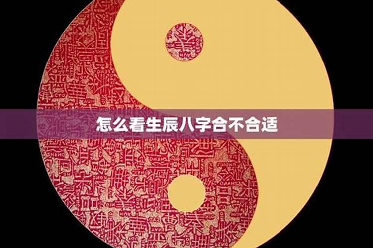 八字双戊子代表什么