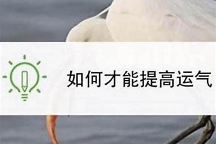 如何能提升运气