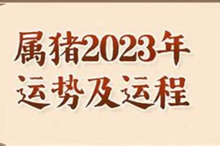 属猪2023年运势详解