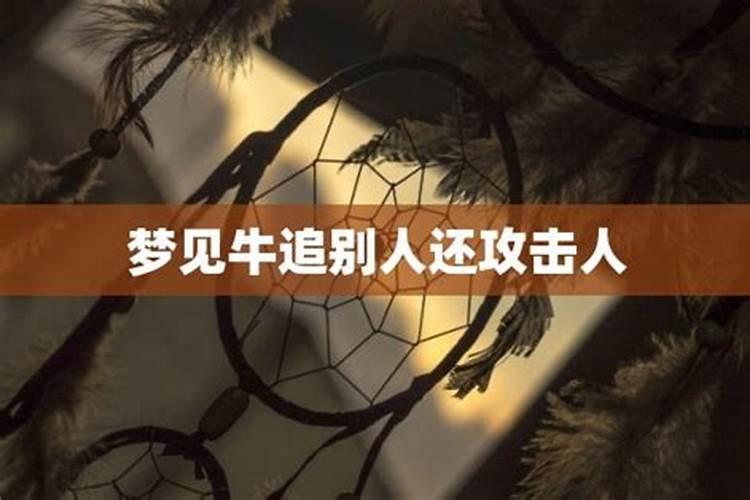 梦见树上结满红枣摘枣