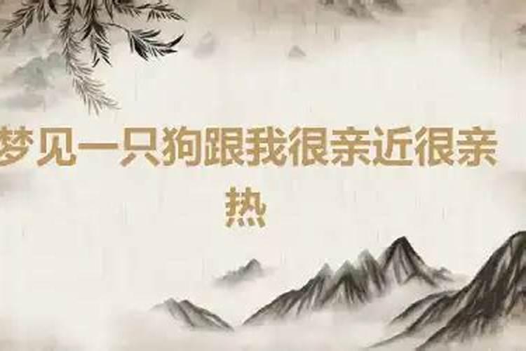 梦到老公卖东西给别人吃