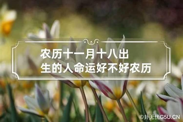 农历十一月份出生的命运如何