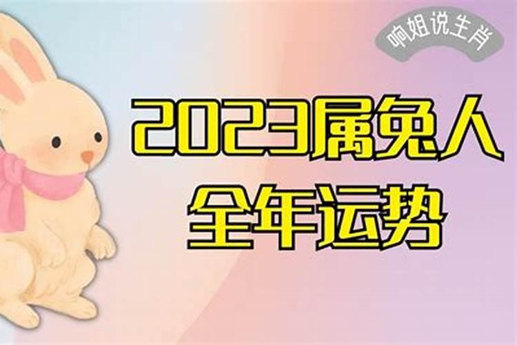 2023属兔人全年运势男