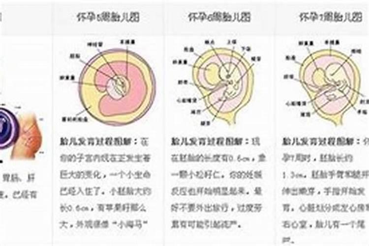 梦见去别人家打扫卫生打扫卫生