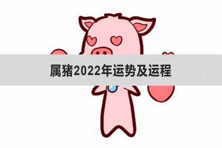 2022年亥猪的整体运势