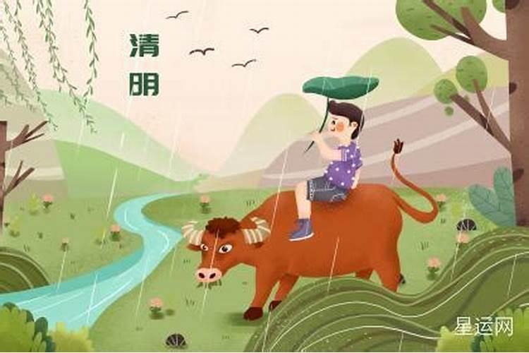 今年清明几点