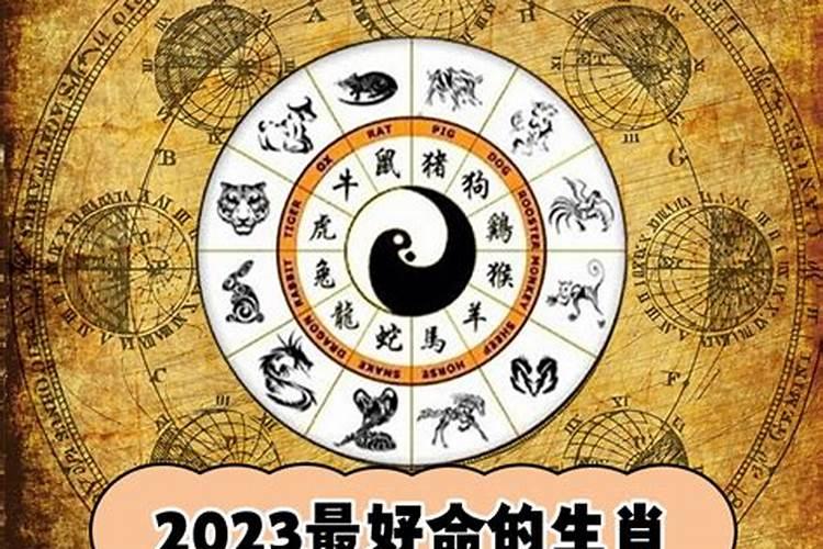 2023年好运的生肖有哪些