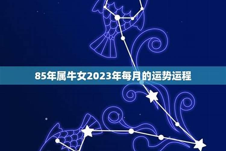 2023年下半年属牛运程