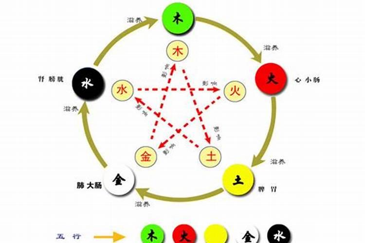 四季对应的五行五色及五脏