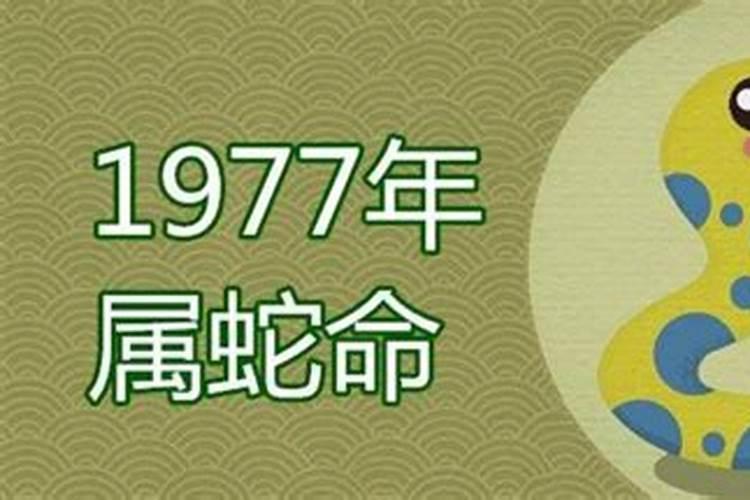 1977年出生的在2021年的运势