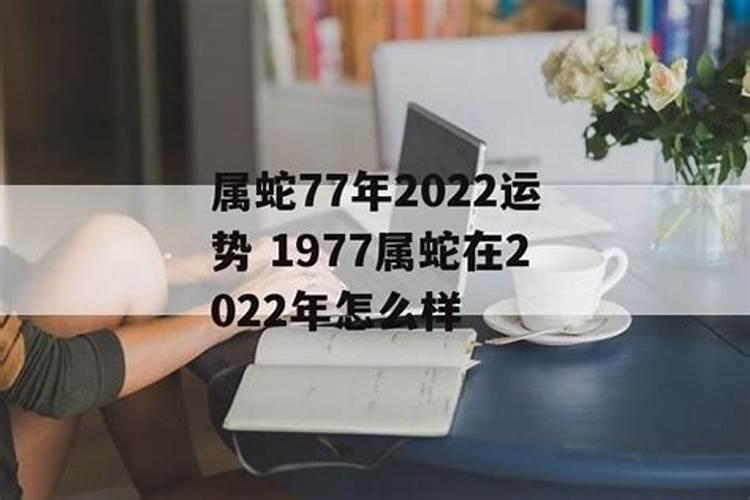 1977年出生的人2022年运势