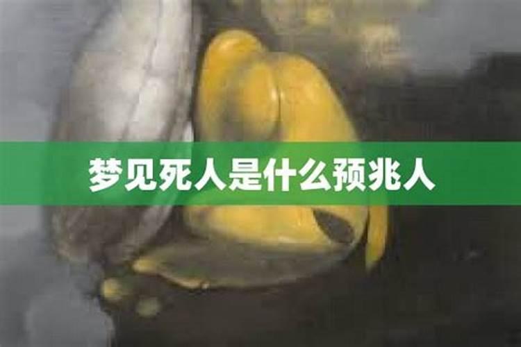 老公属虎我属兔生什么宝宝好