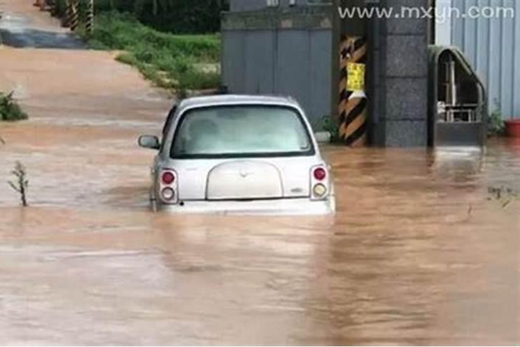 梦见大水淹路在水里游泳