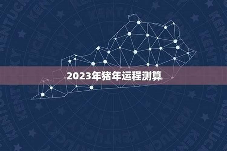 猪年属马运势2023年运程